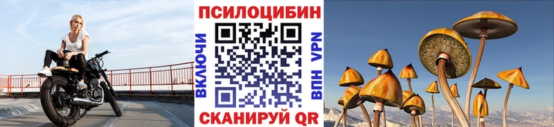 Псилоцибиновые грибы Cubensis  Пустошка 